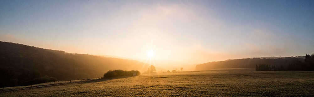 Dorfgemeinschaft Berg e.V.